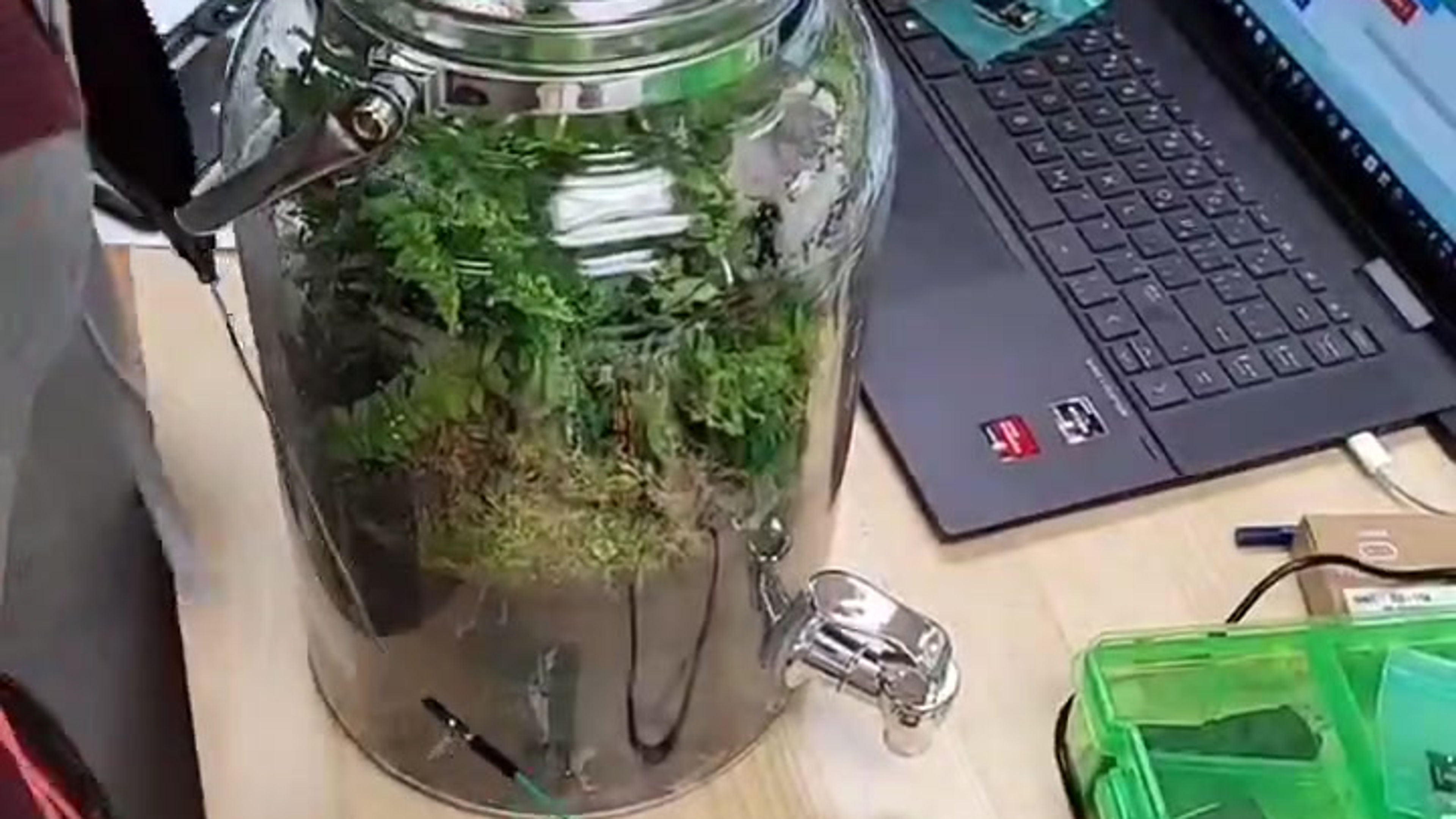 STEM CHANNEL